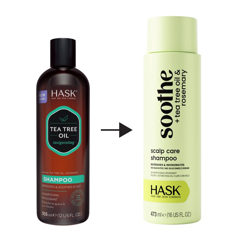 Tea Tree Oil Scalp Care Shampoo - Refreshing & Soothing Hair Treatment