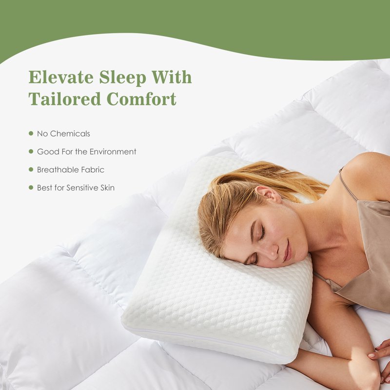 Memory Foam Pillow 2 Pack - Ergonomic Support for Neck & Back Pain Relief, Standard Size 24x16x4.7, Washable Cover
