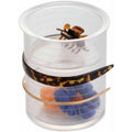 Clear Hair Accessory Organizer Canister for Headbands and Ties - 6x6x7 inches
